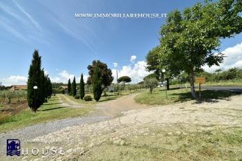 Bolsena - Vendesi Agriturismo - Azienda Agricola Val di Lago [/GEST/immagini]  