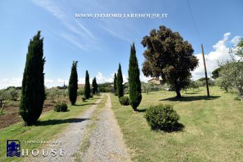 Bolsena - Vendesi Agriturismo - Azienda Agricola Val di Lago [/GEST/immagini]  